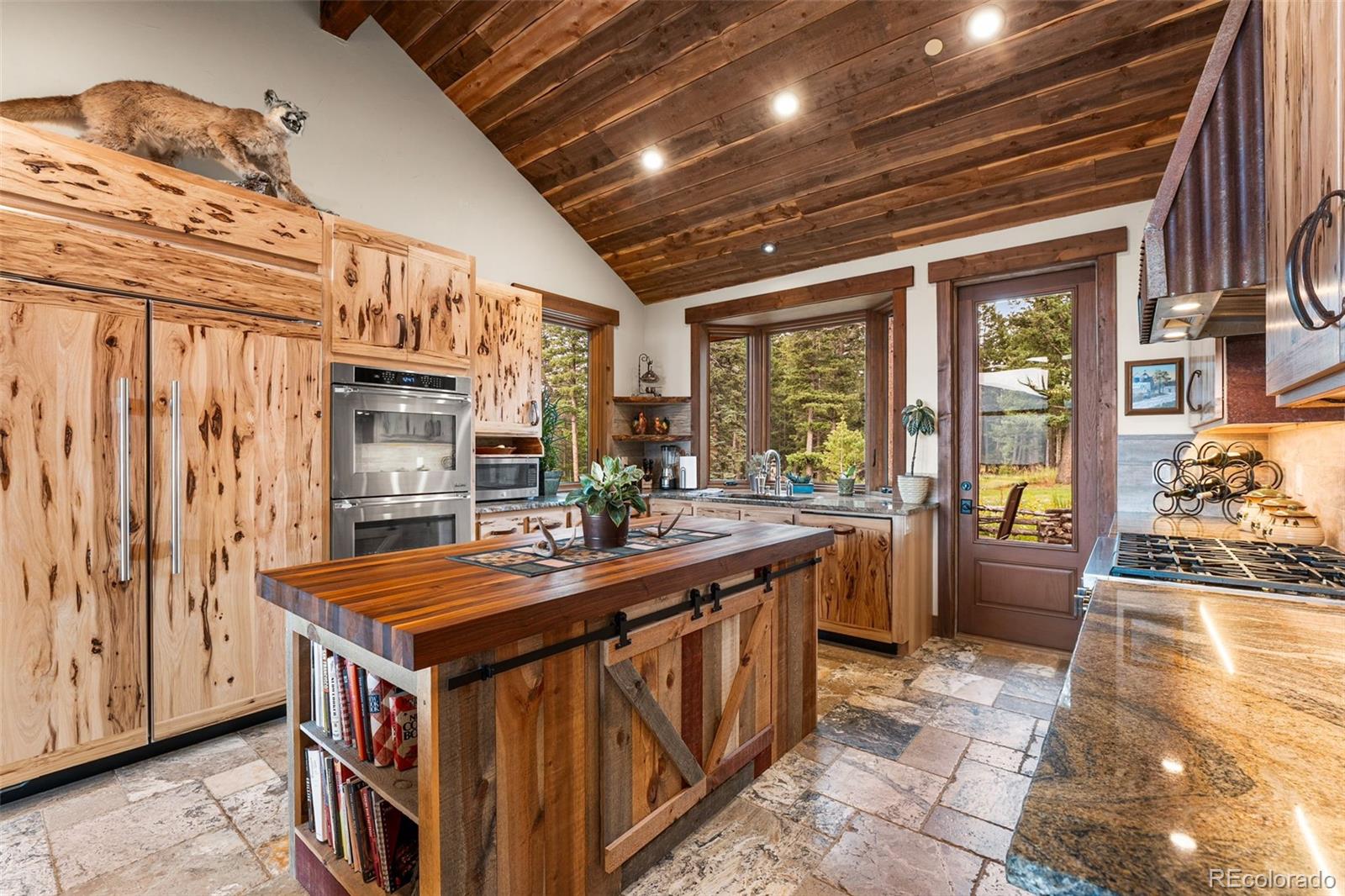 MLS Image #14 for 33691  twin firs trail,evergreen, Colorado
