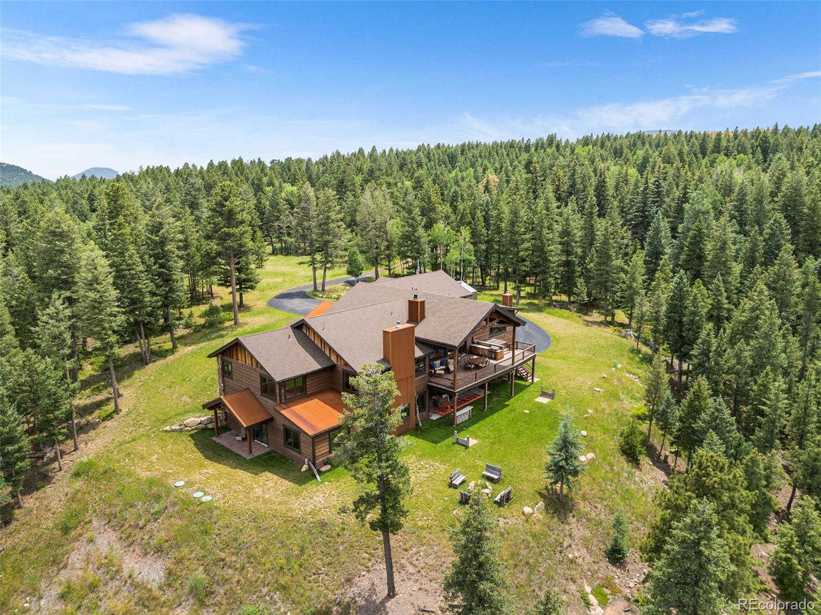 MLS Image #3 for 33691  twin firs trail,evergreen, Colorado