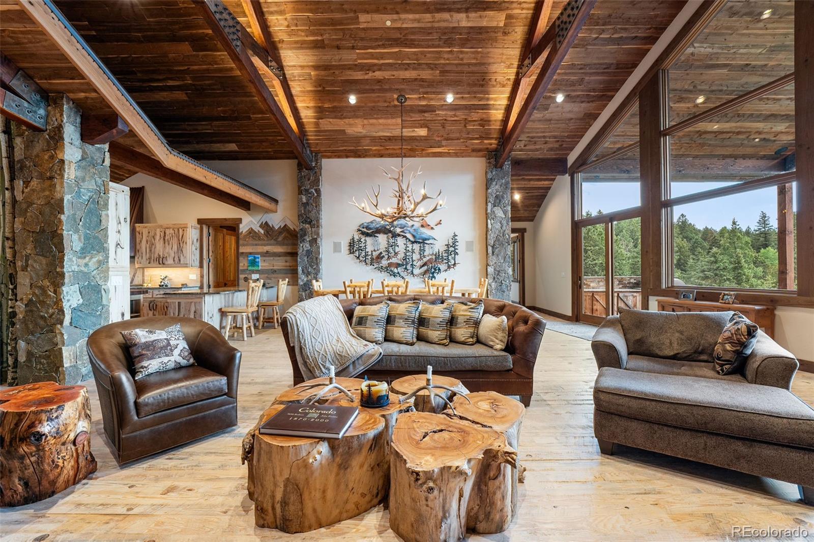 MLS Image #9 for 33691  twin firs trail,evergreen, Colorado