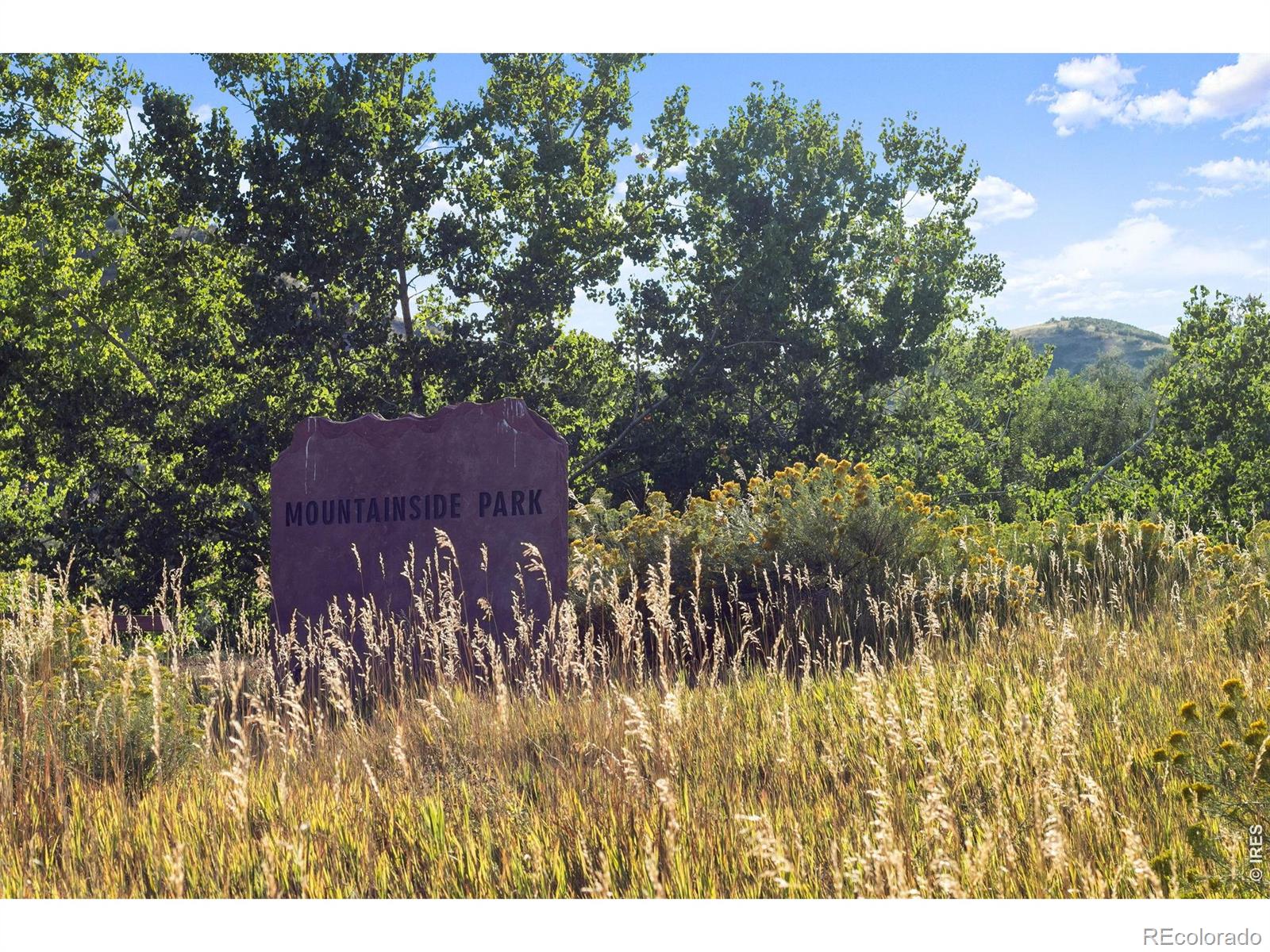 MLS Image #36 for 536  holman way,golden, Colorado