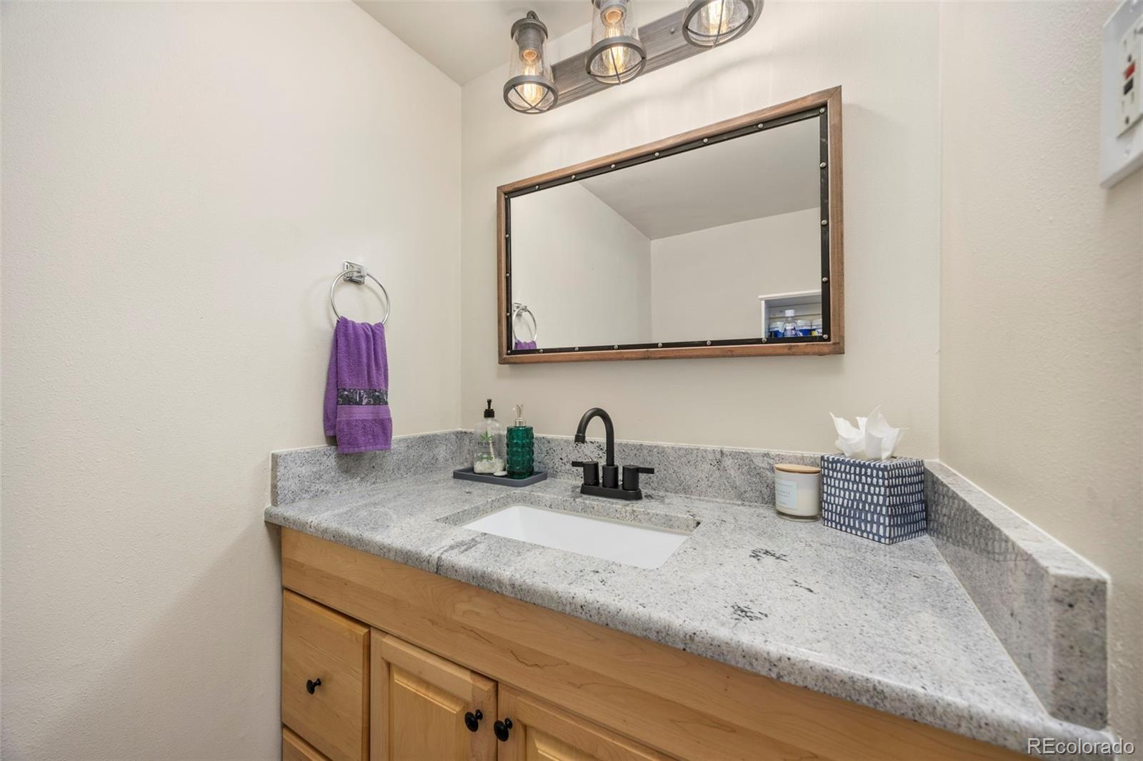 MLS Image #9 for 1355  gaylord street,denver, Colorado
