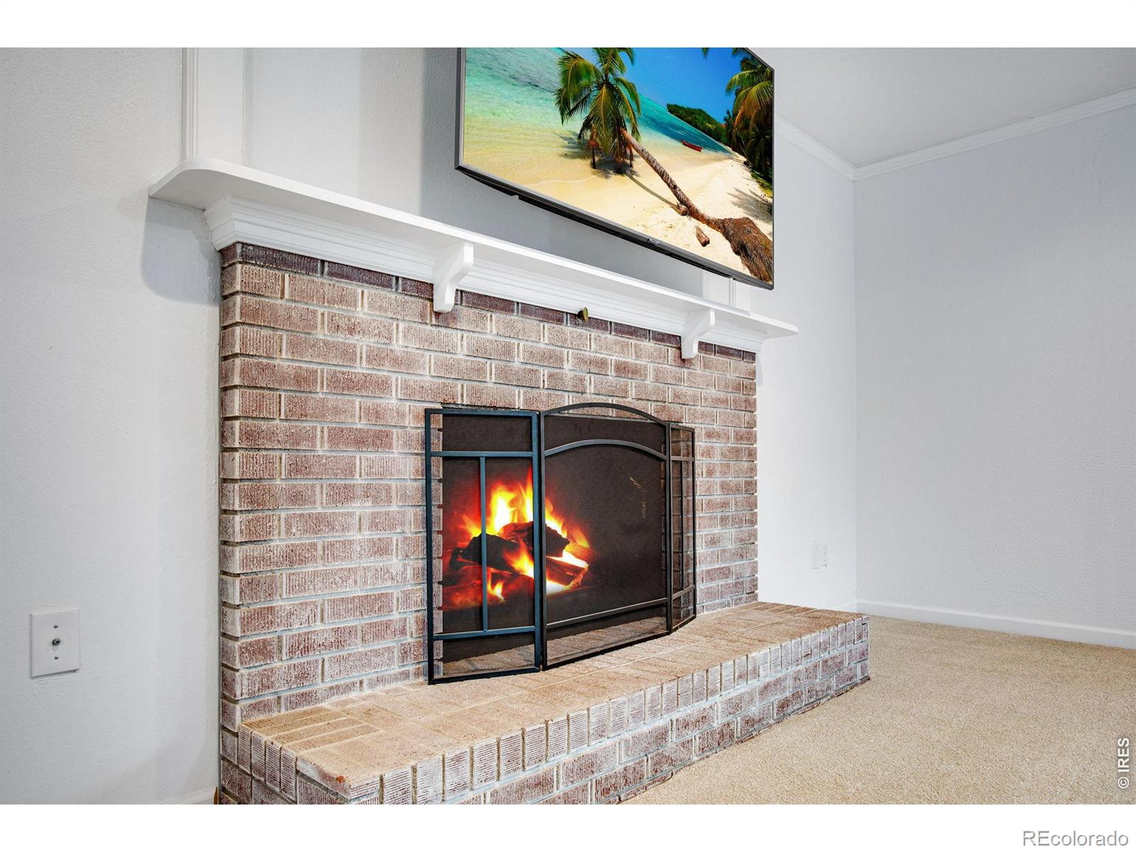 MLS Image #19 for 5416 s timberline road,fort collins, Colorado
