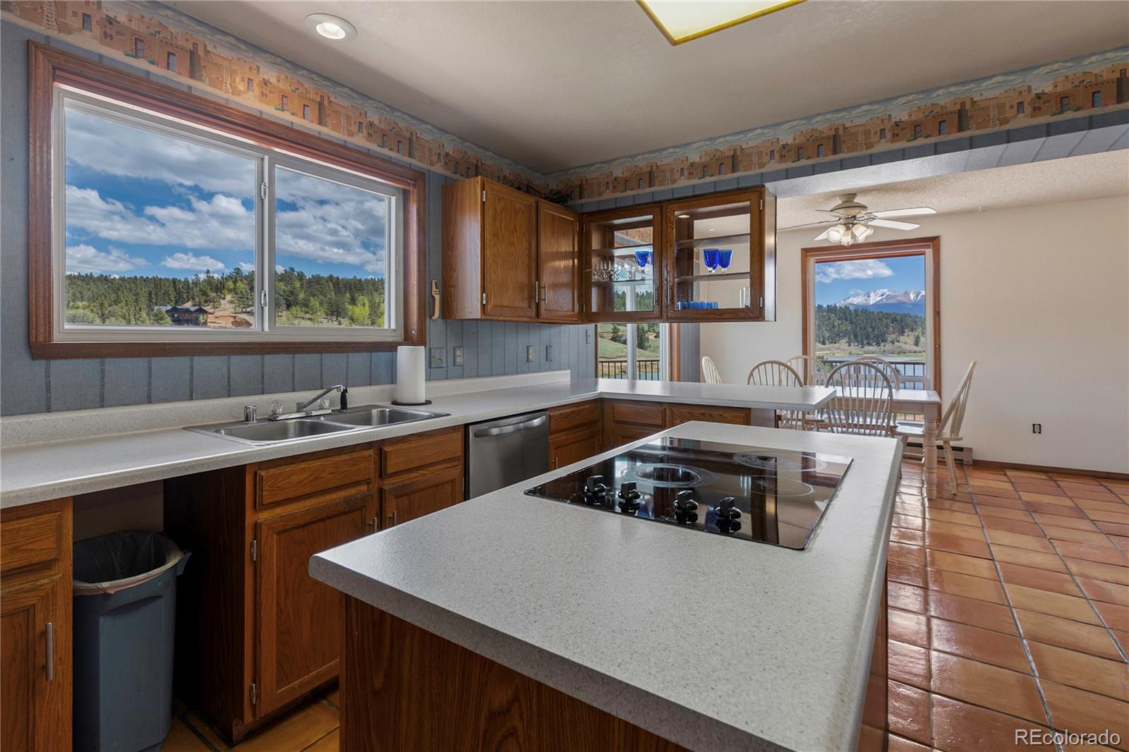MLS Image #10 for 1506  lake place,divide, Colorado
