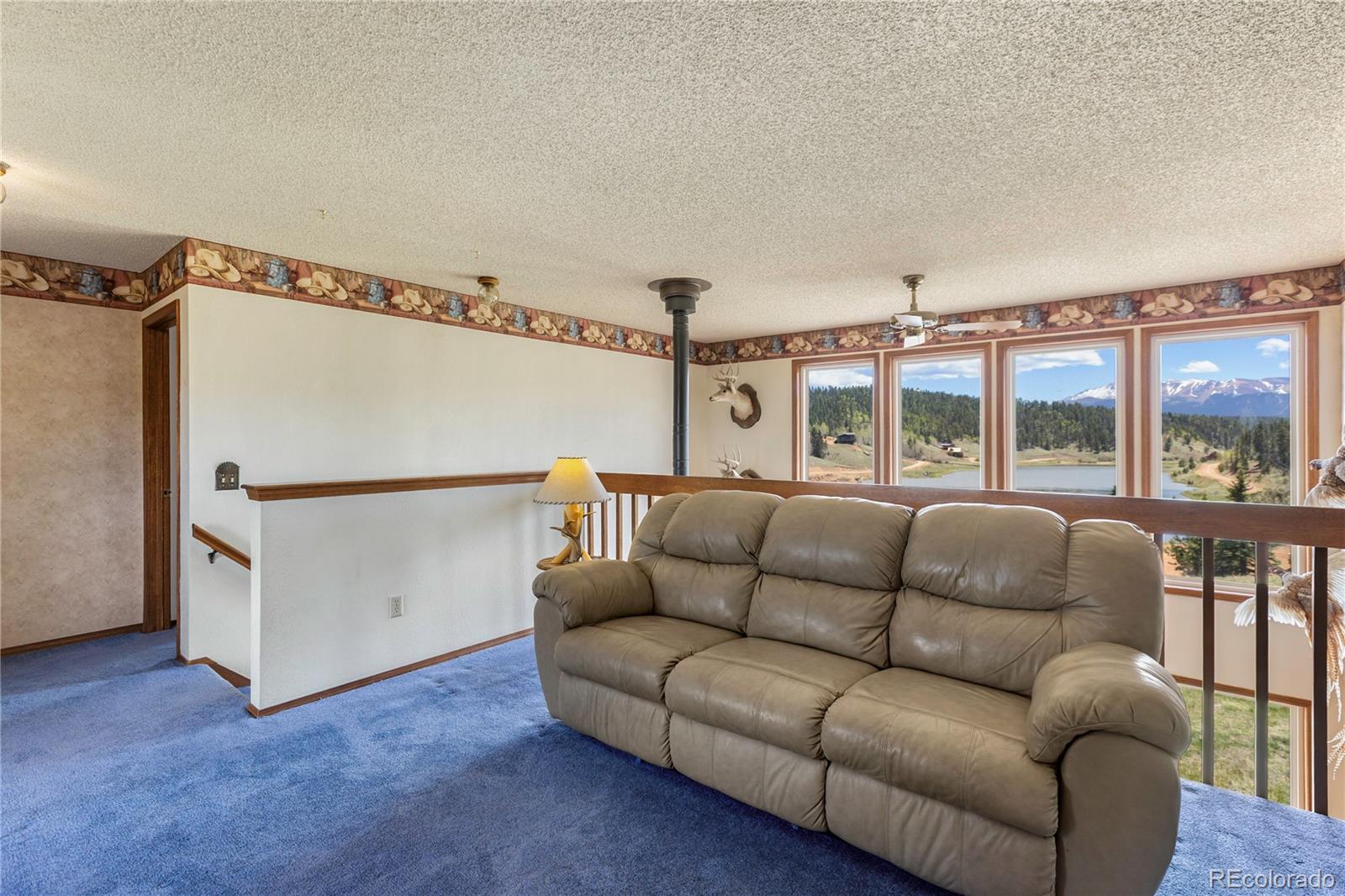 MLS Image #13 for 1506  lake place,divide, Colorado