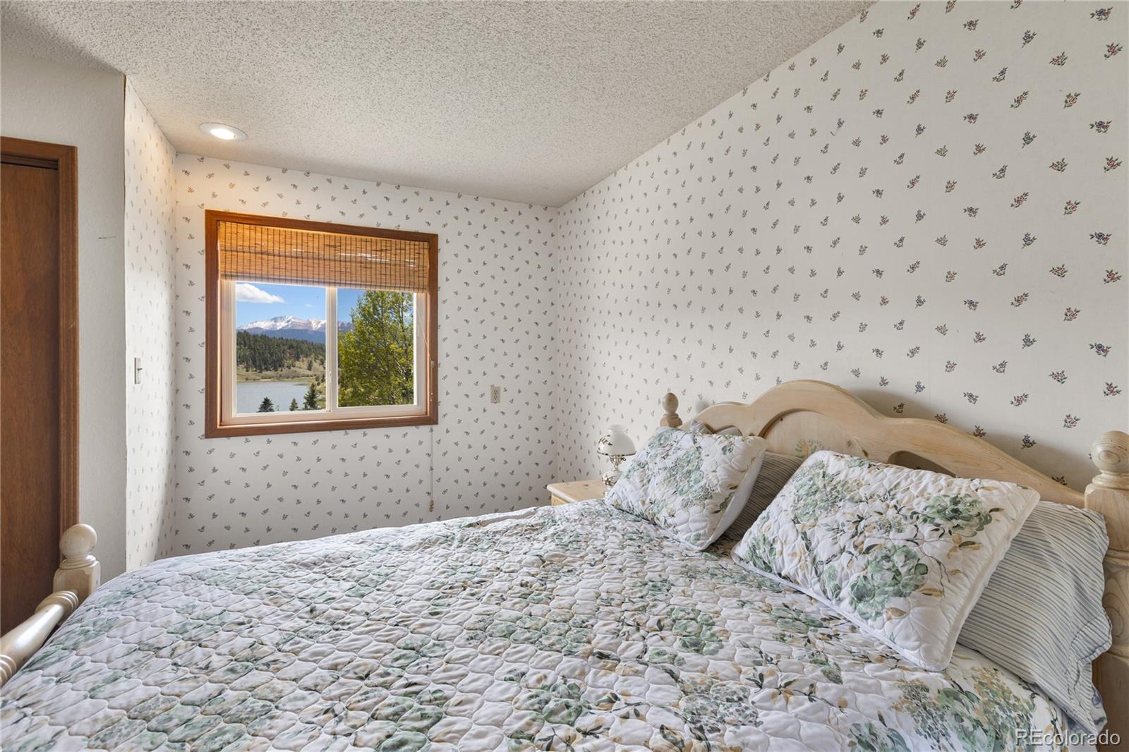 MLS Image #14 for 1506  lake place,divide, Colorado