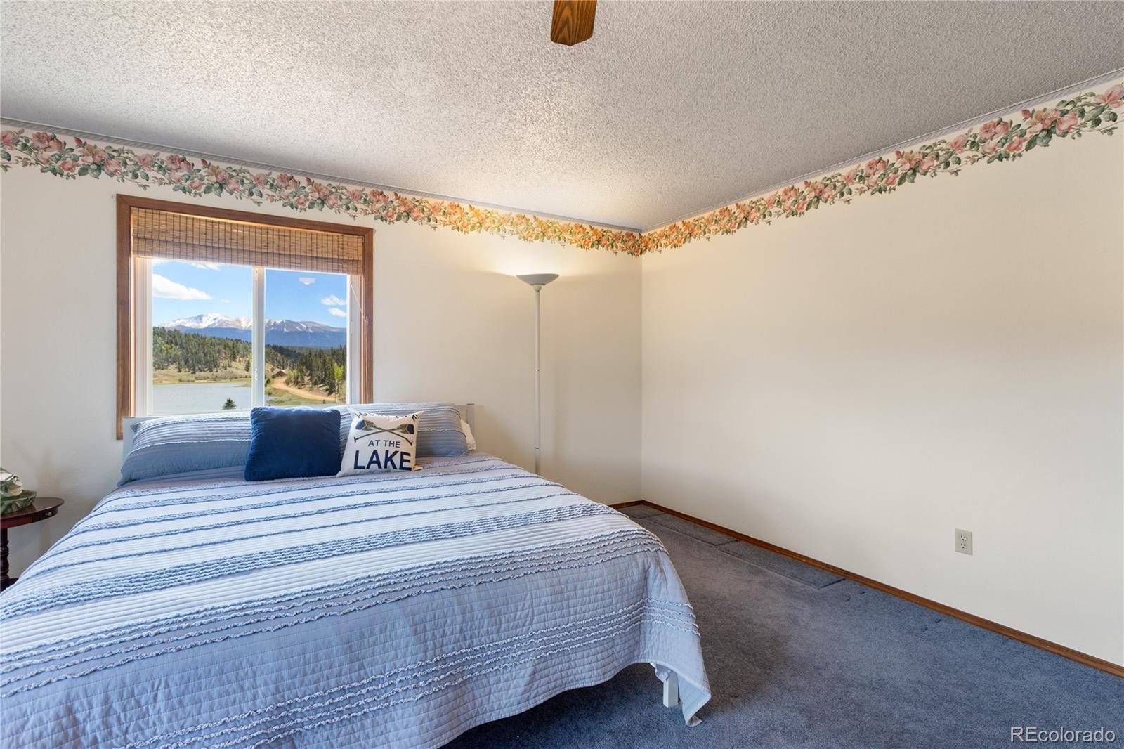 MLS Image #15 for 1506  lake place,divide, Colorado
