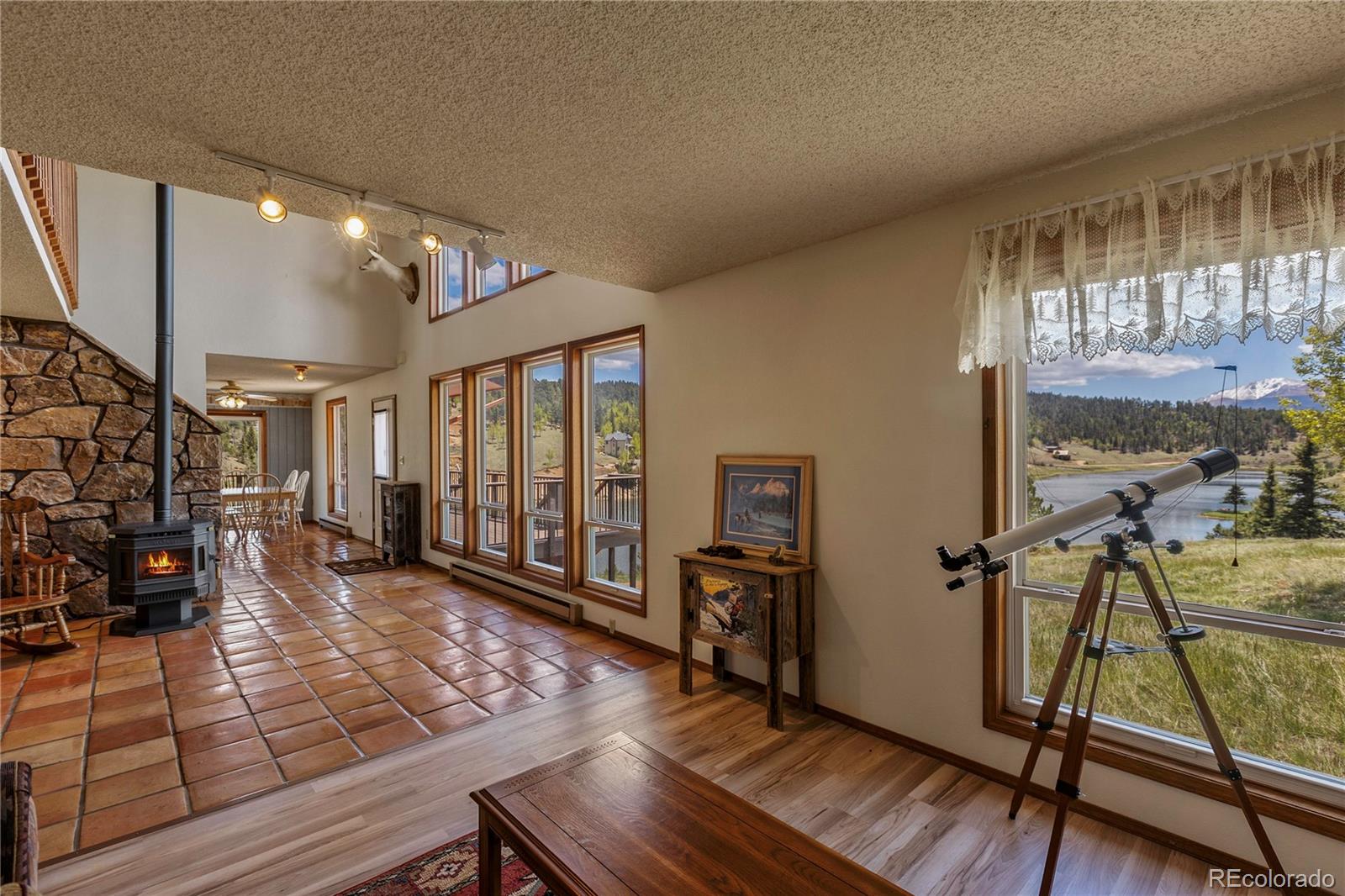 MLS Image #6 for 1506  lake place,divide, Colorado