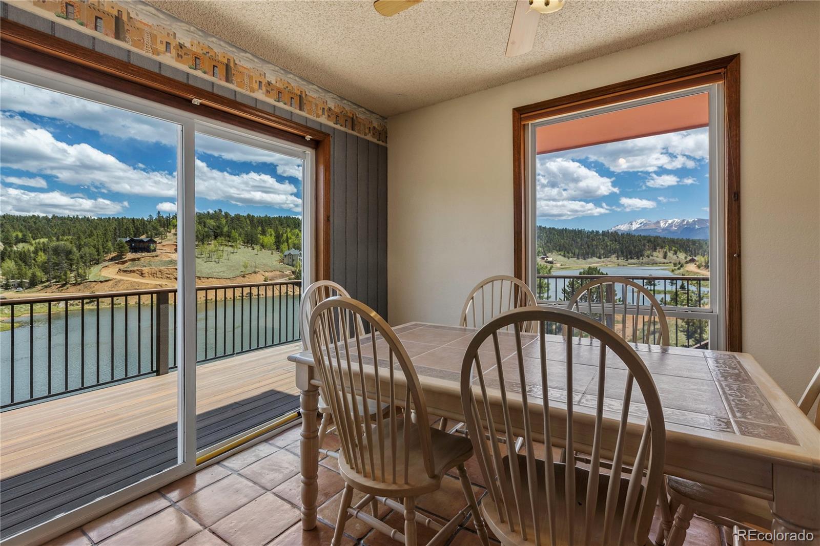 MLS Image #8 for 1506  lake place,divide, Colorado
