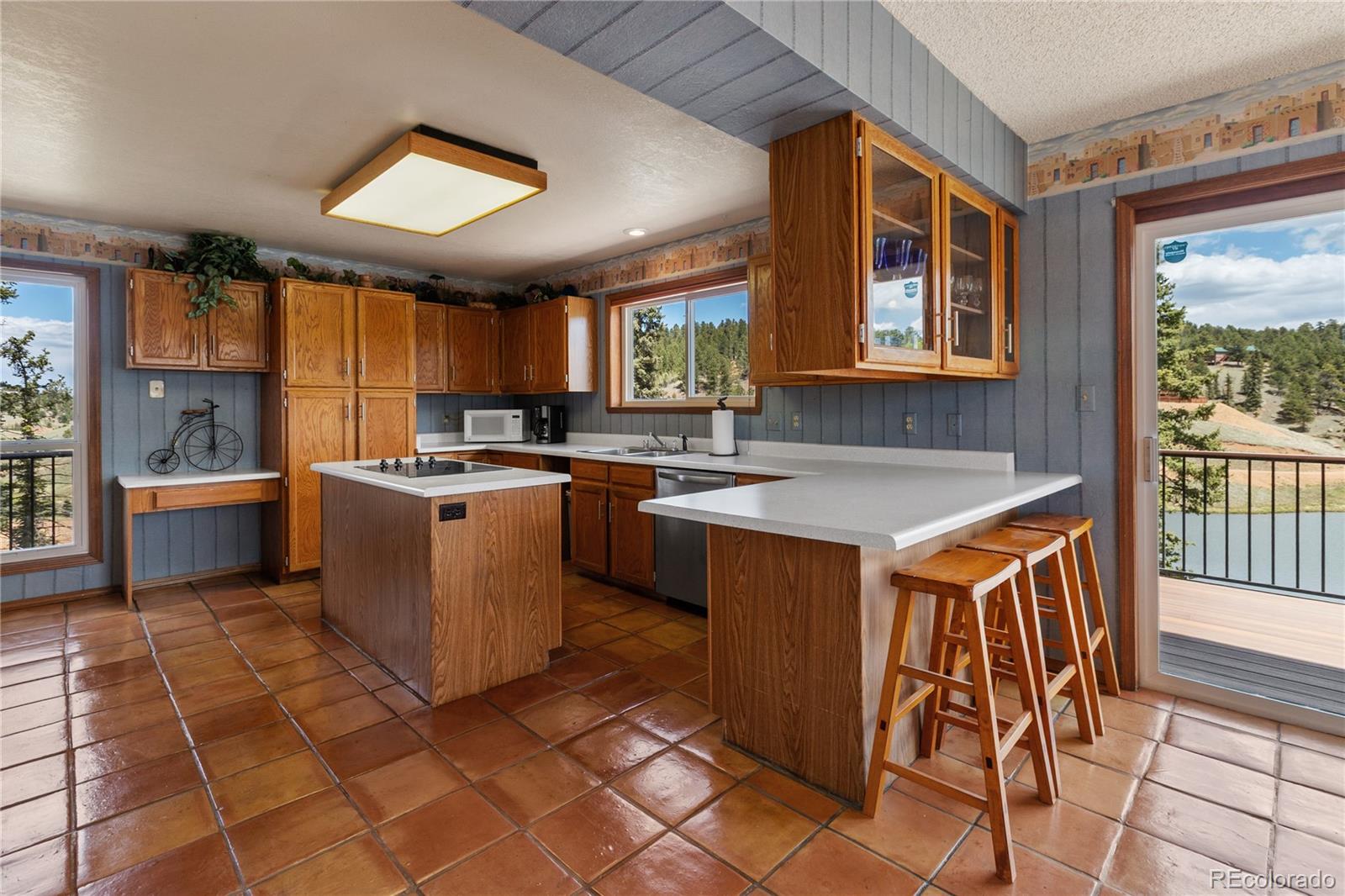 MLS Image #9 for 1506  lake place,divide, Colorado