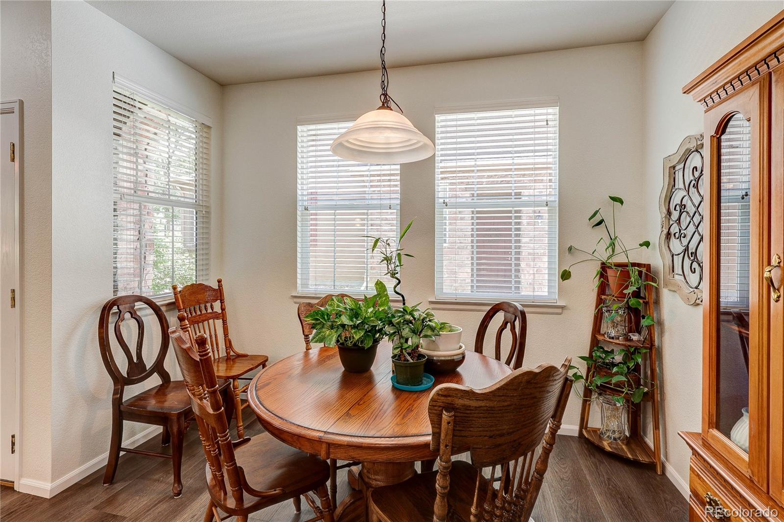 MLS Image #2 for 10556  graymont lane,highlands ranch, Colorado