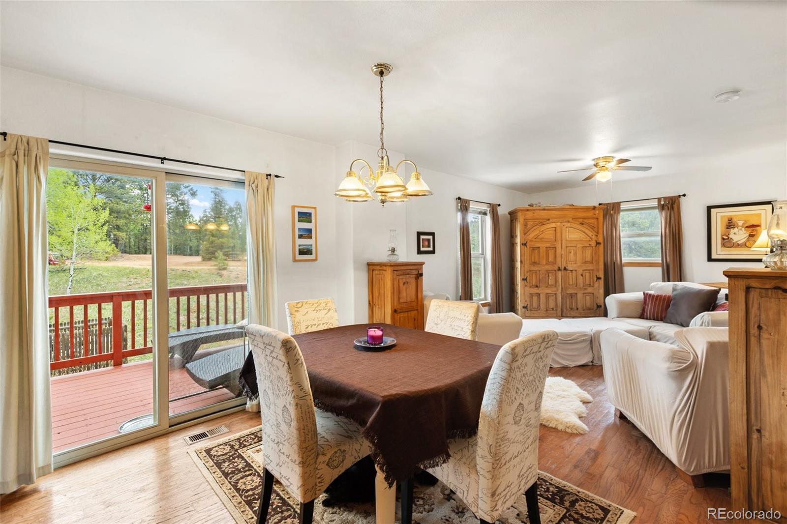 MLS Image #12 for 996  spring valley drive,divide, Colorado