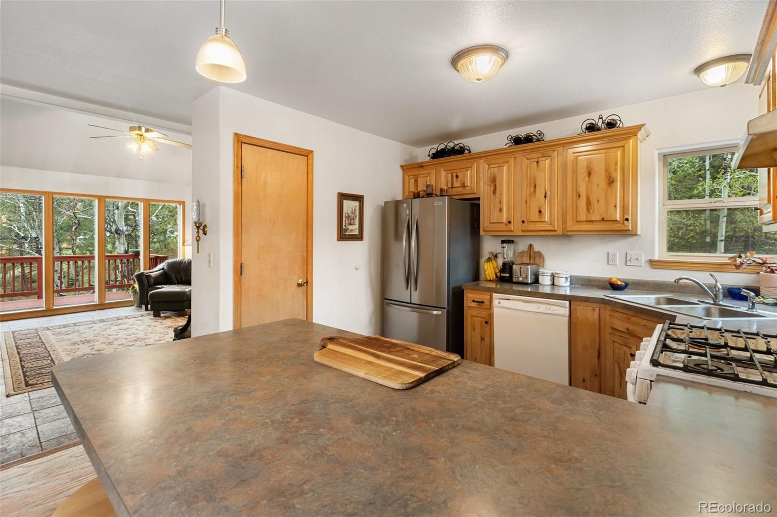 MLS Image #14 for 996  spring valley drive,divide, Colorado