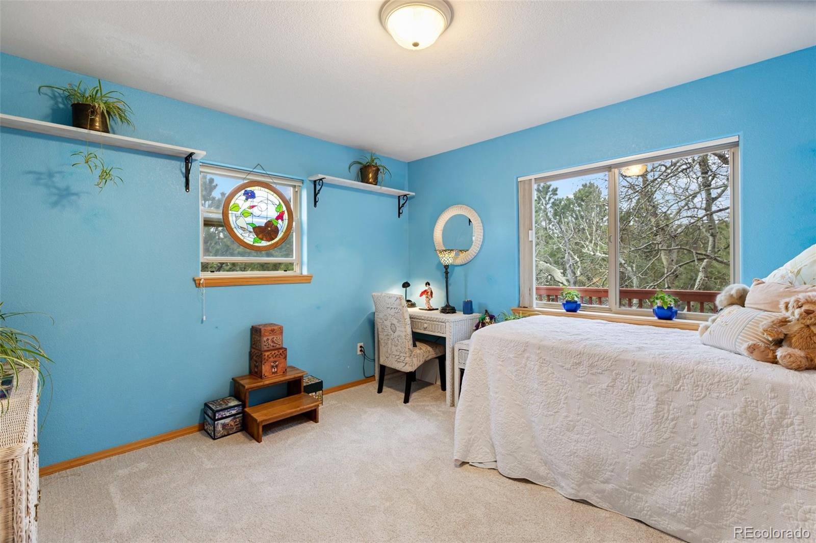 MLS Image #17 for 996  spring valley drive,divide, Colorado