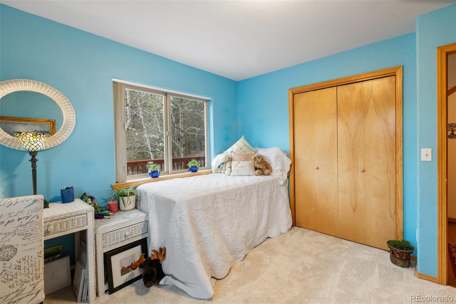 MLS Image #18 for 996  spring valley drive,divide, Colorado