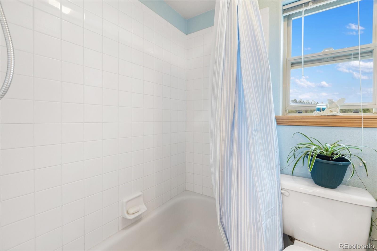 MLS Image #21 for 996  spring valley drive,divide, Colorado
