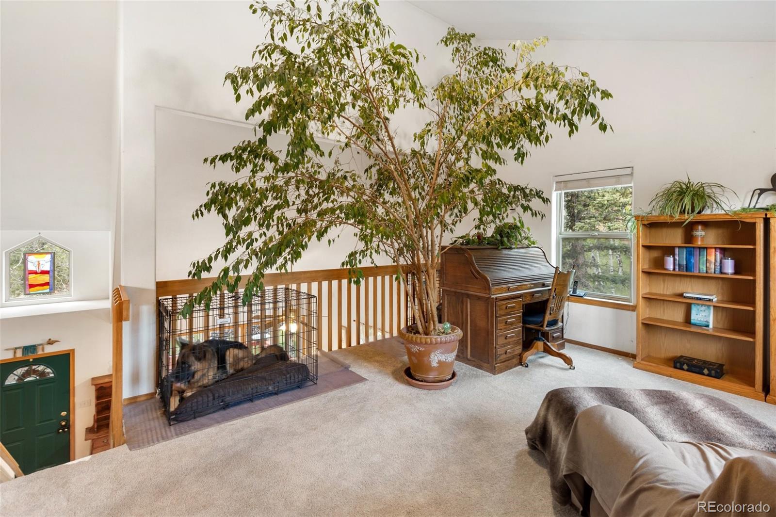 MLS Image #23 for 996  spring valley drive,divide, Colorado
