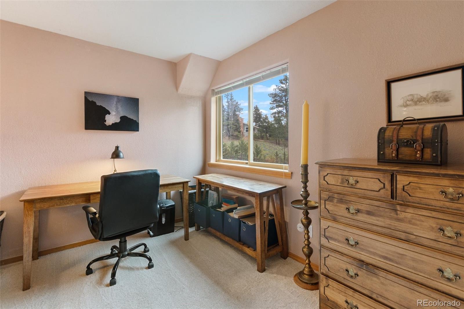 MLS Image #28 for 996  spring valley drive,divide, Colorado