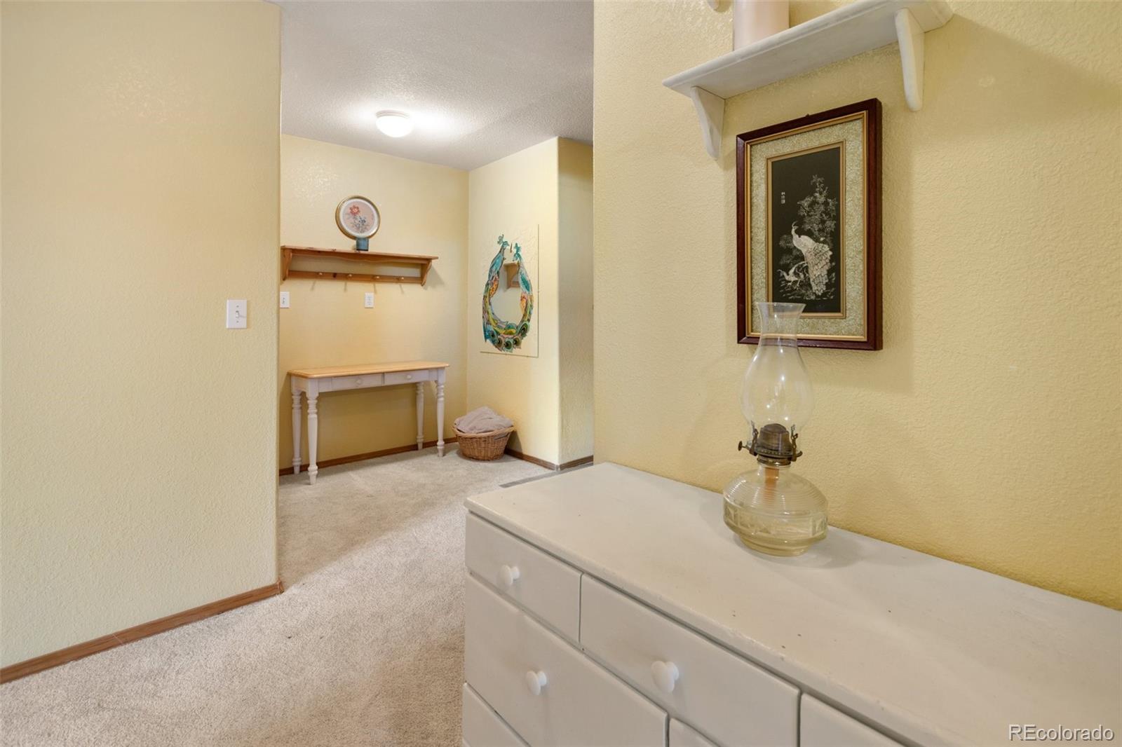 MLS Image #31 for 996  spring valley drive,divide, Colorado