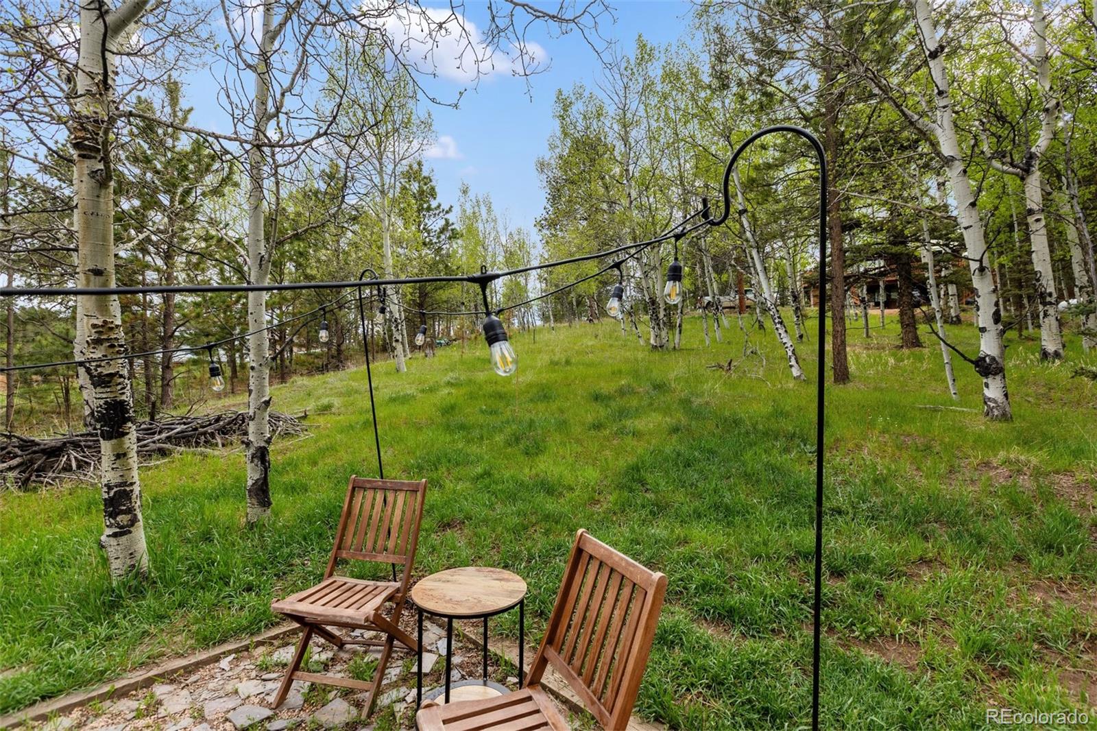 MLS Image #35 for 996  spring valley drive,divide, Colorado