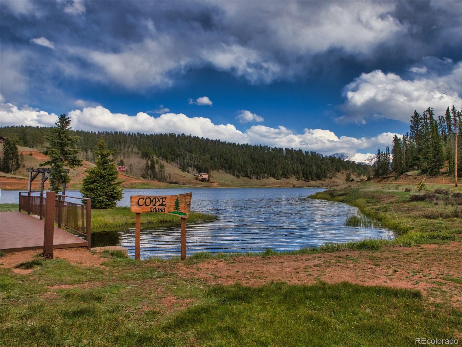 MLS Image #40 for 996  spring valley drive,divide, Colorado