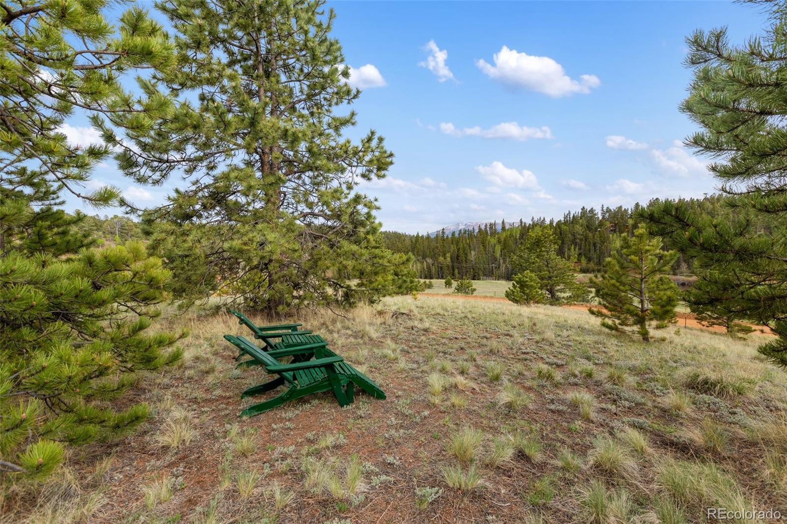 MLS Image #5 for 996  spring valley drive,divide, Colorado