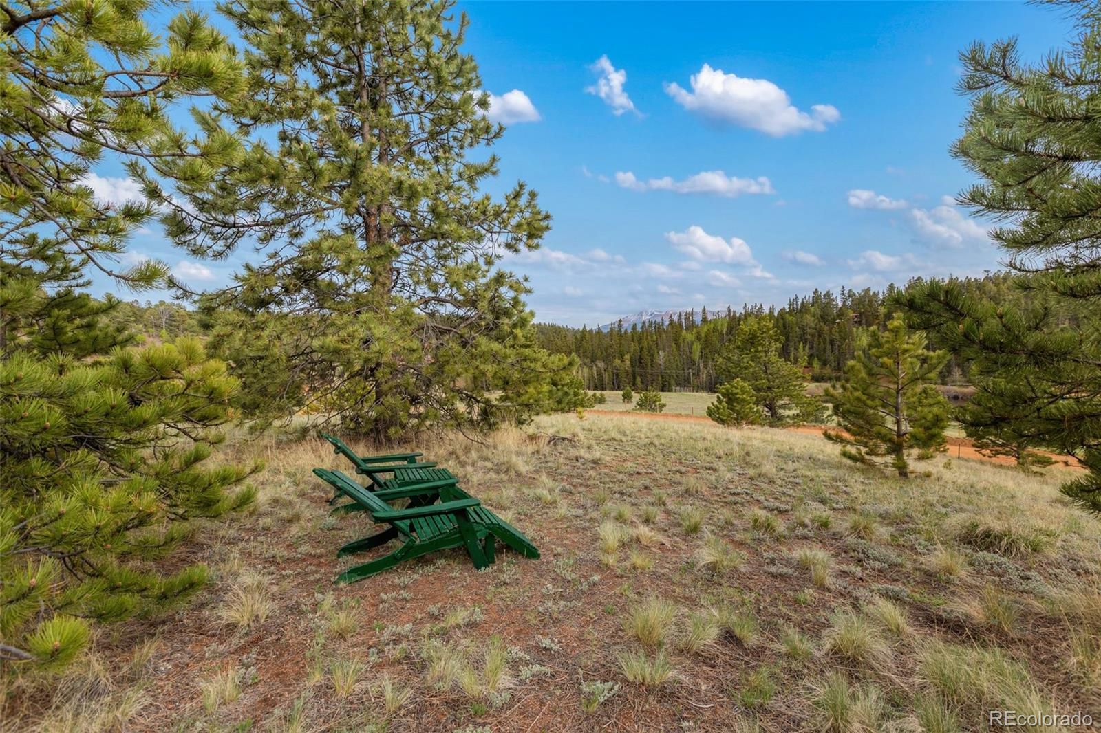 MLS Image #6 for 996  spring valley drive,divide, Colorado