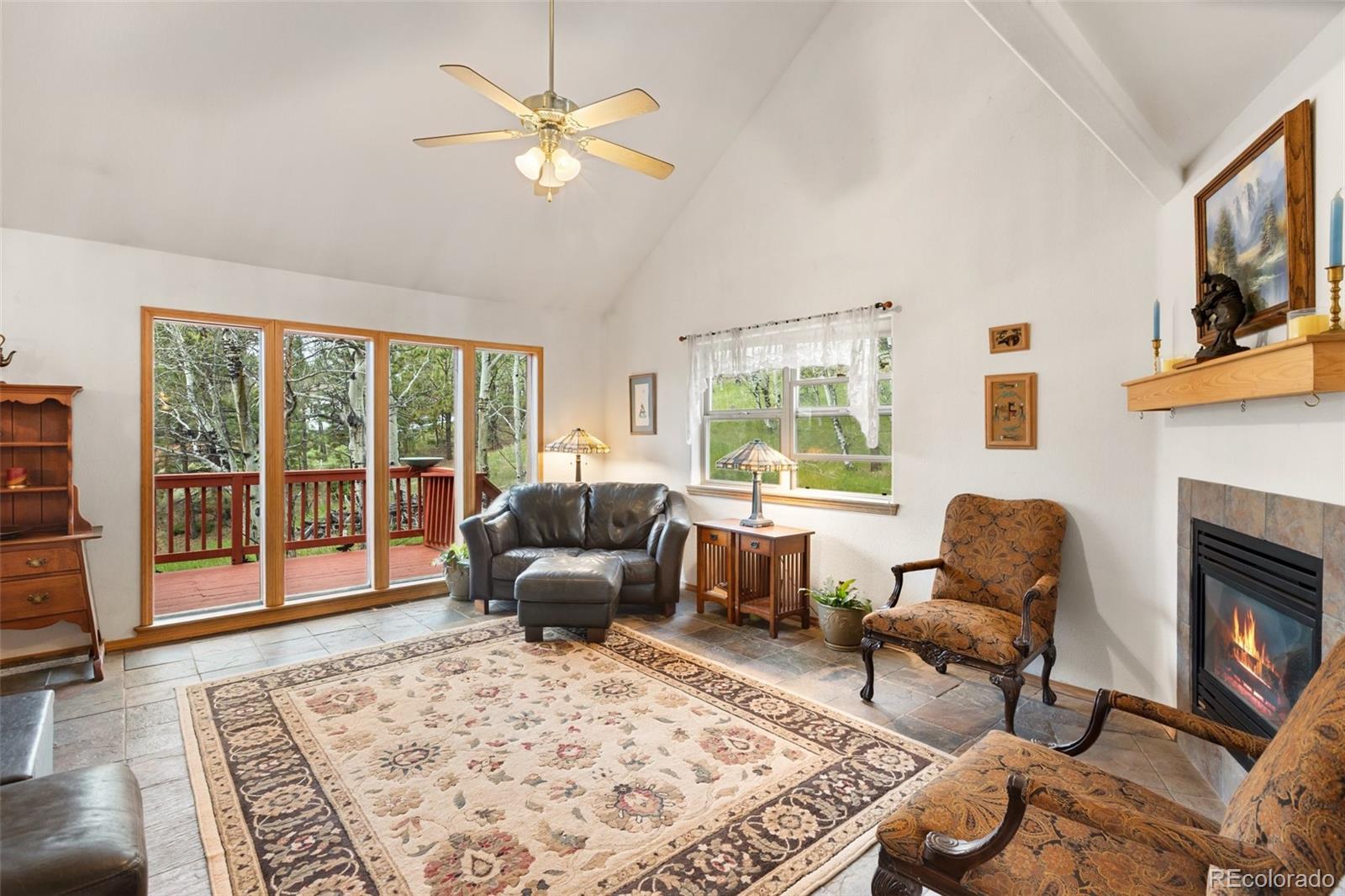 MLS Image #7 for 996  spring valley drive,divide, Colorado