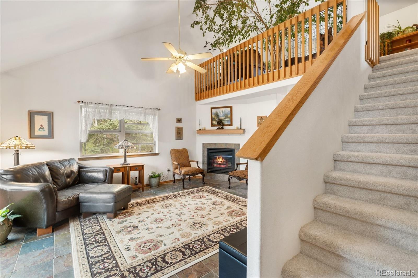MLS Image #9 for 996  spring valley drive,divide, Colorado