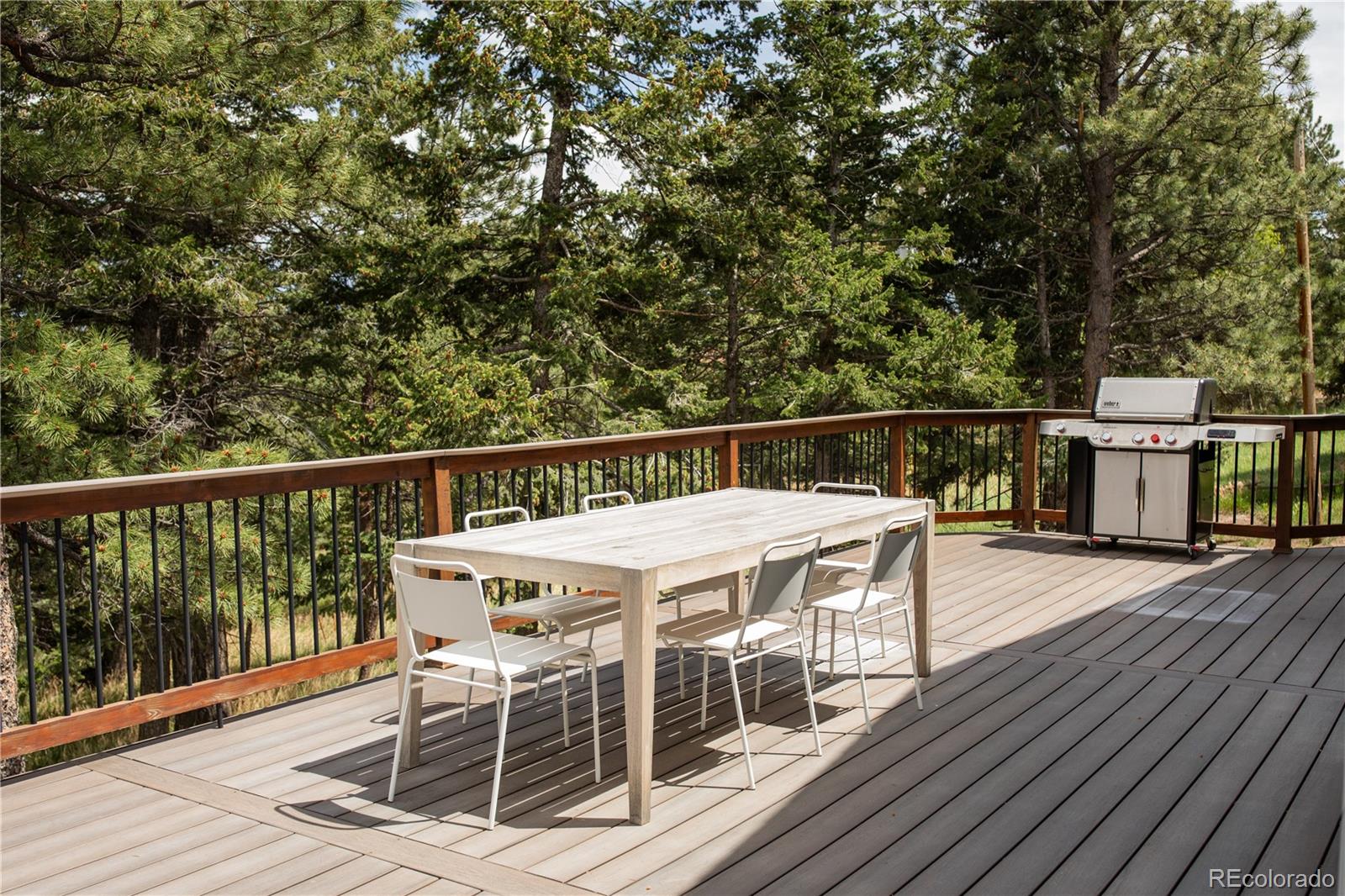MLS Image #20 for 5276  bear mountain drive,evergreen, Colorado