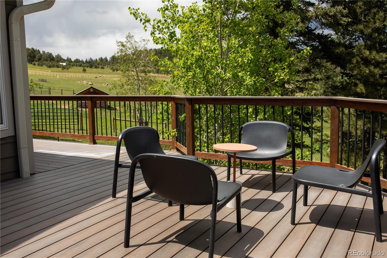 MLS Image #21 for 5276  bear mountain drive,evergreen, Colorado