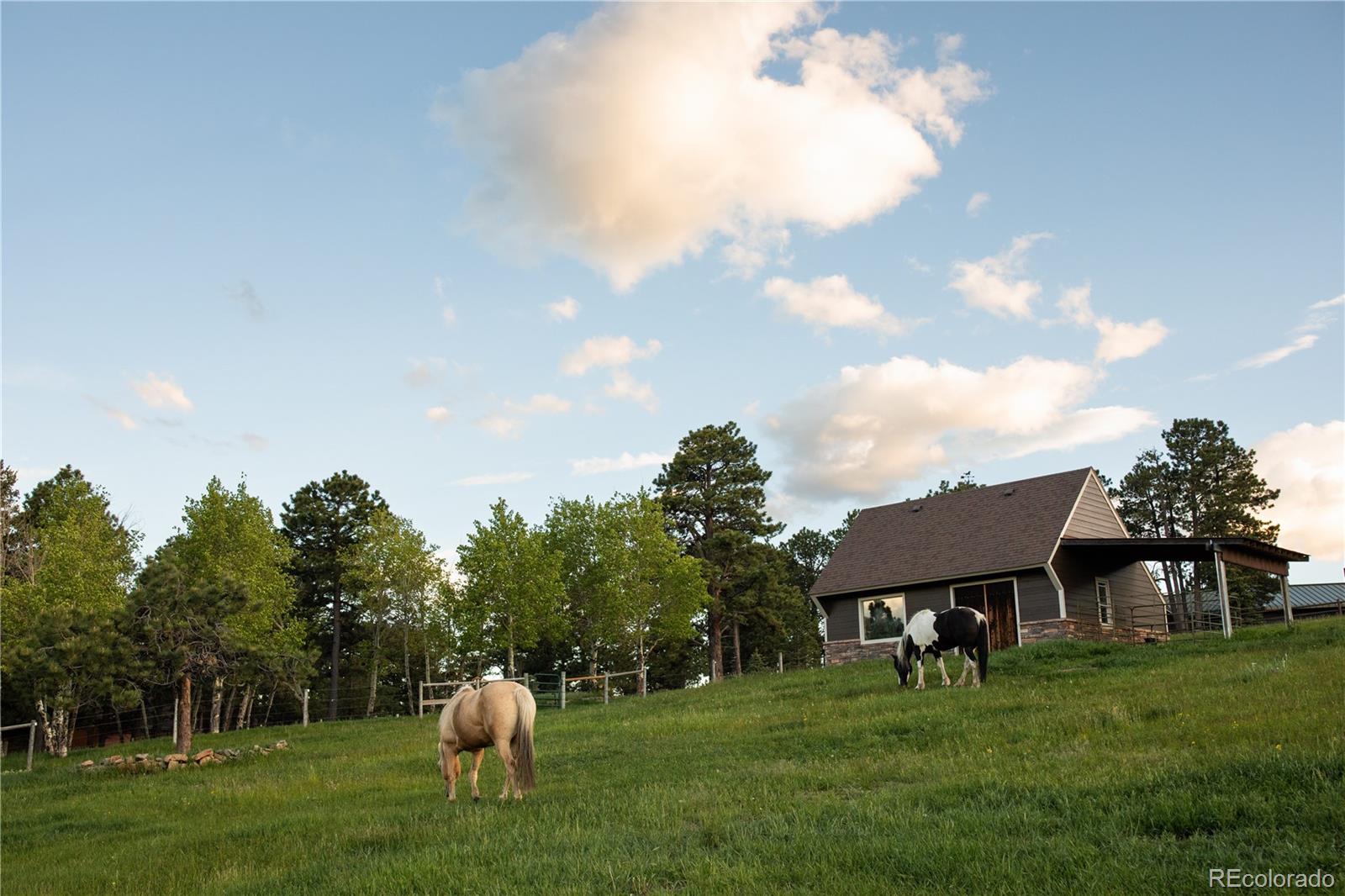 MLS Image #25 for 5276  bear mountain drive,evergreen, Colorado