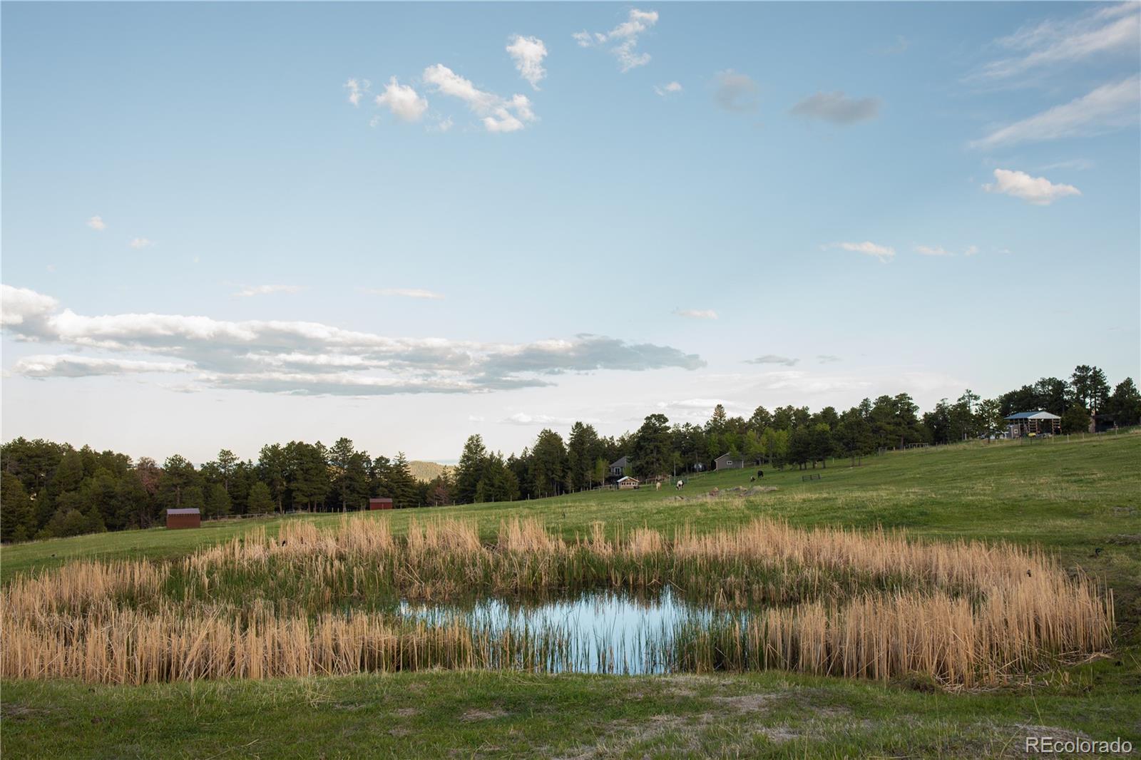 MLS Image #26 for 5276  bear mountain drive,evergreen, Colorado