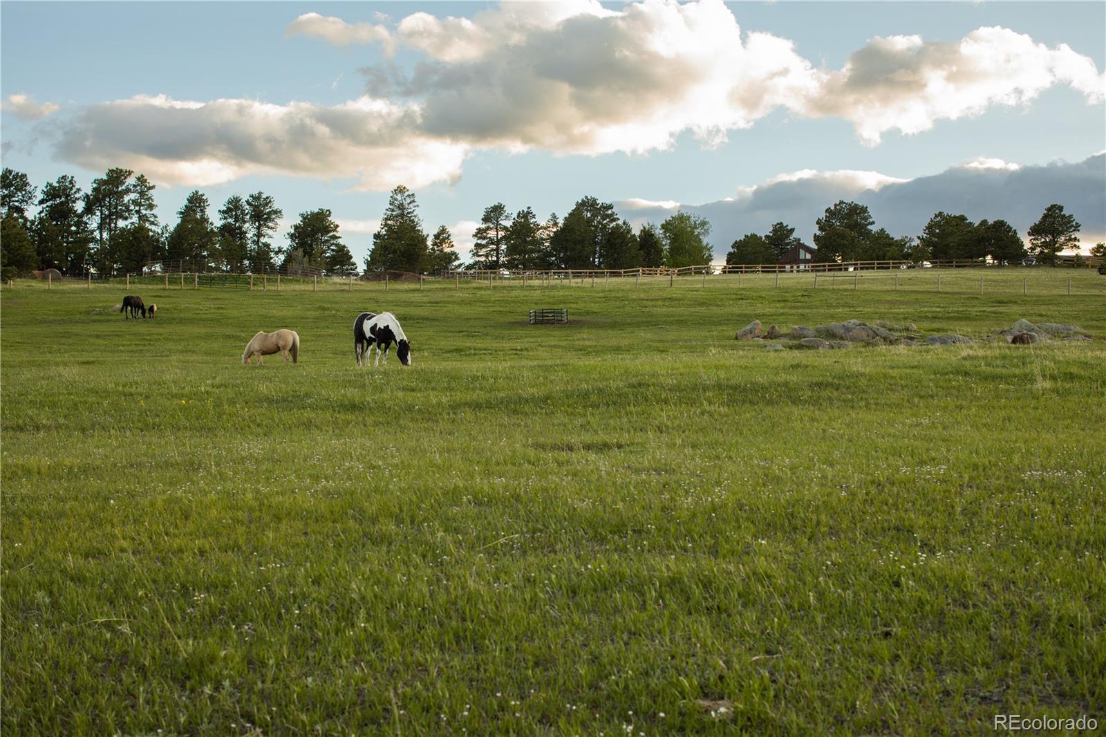 MLS Image #27 for 5276  bear mountain drive,evergreen, Colorado