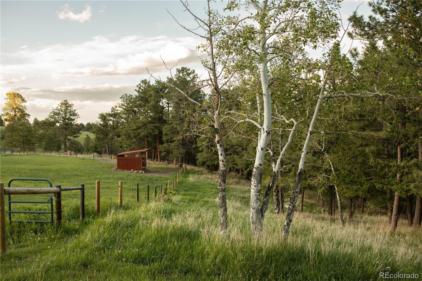 MLS Image #28 for 5276  bear mountain drive,evergreen, Colorado