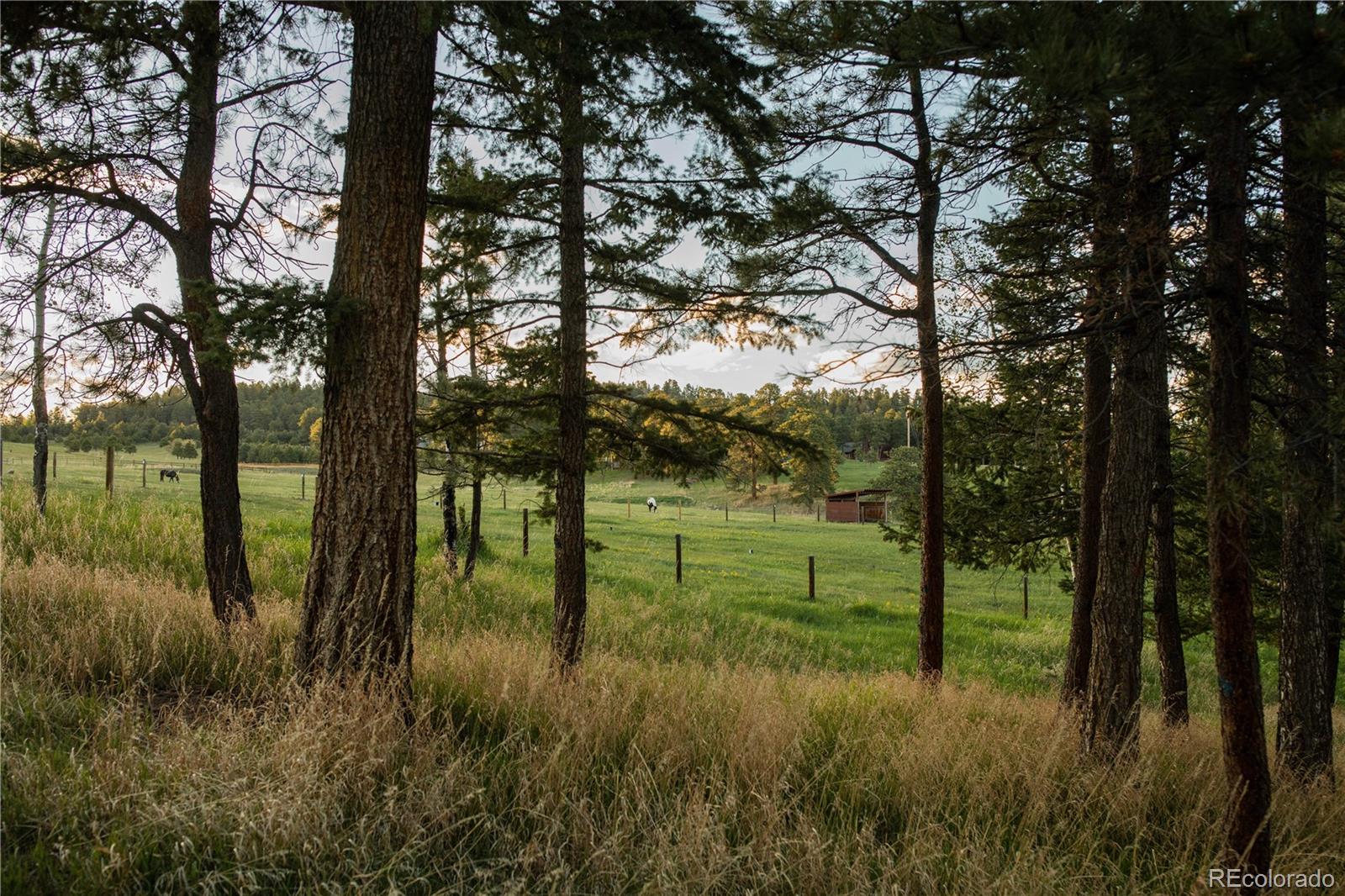 MLS Image #29 for 5276  bear mountain drive,evergreen, Colorado