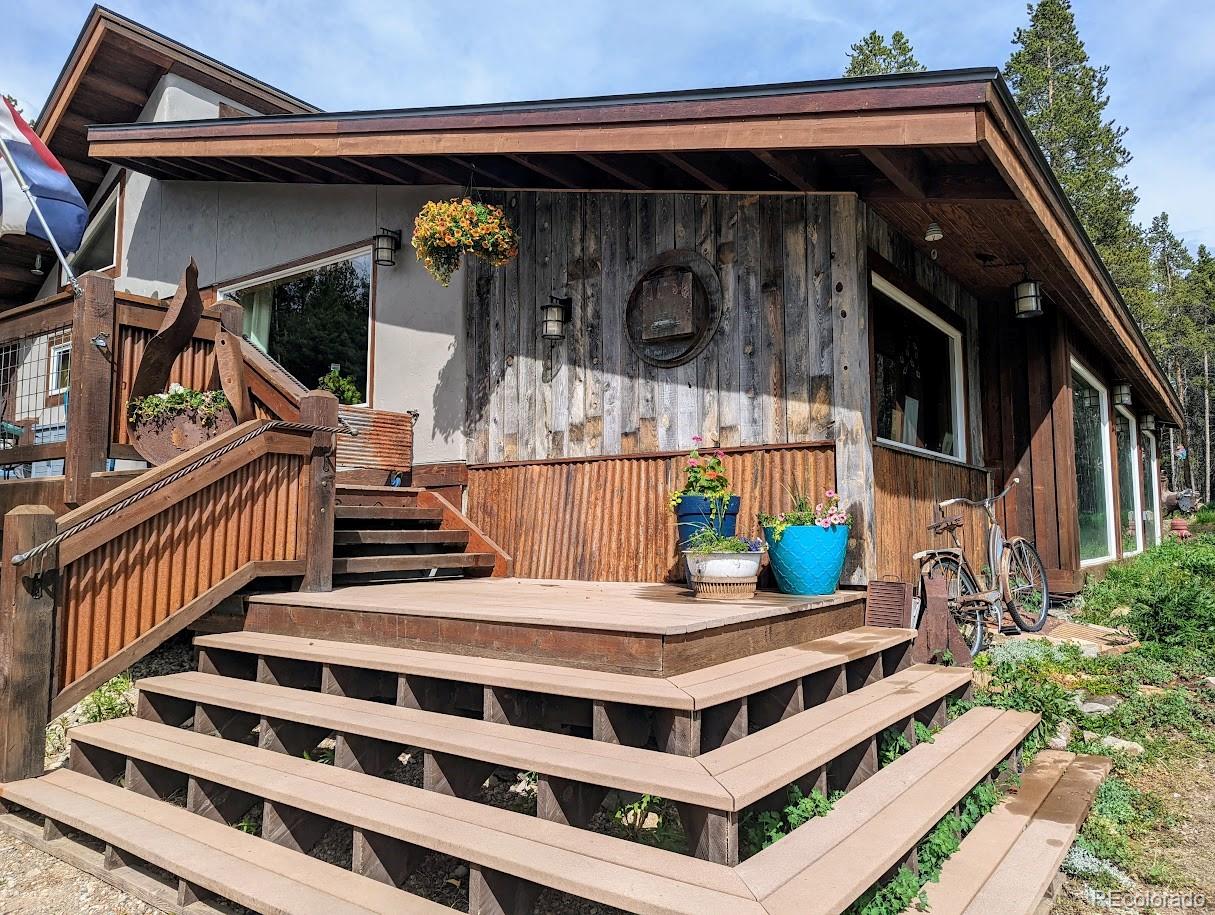 MLS Image #1 for 987  ruby lane,leadville, Colorado