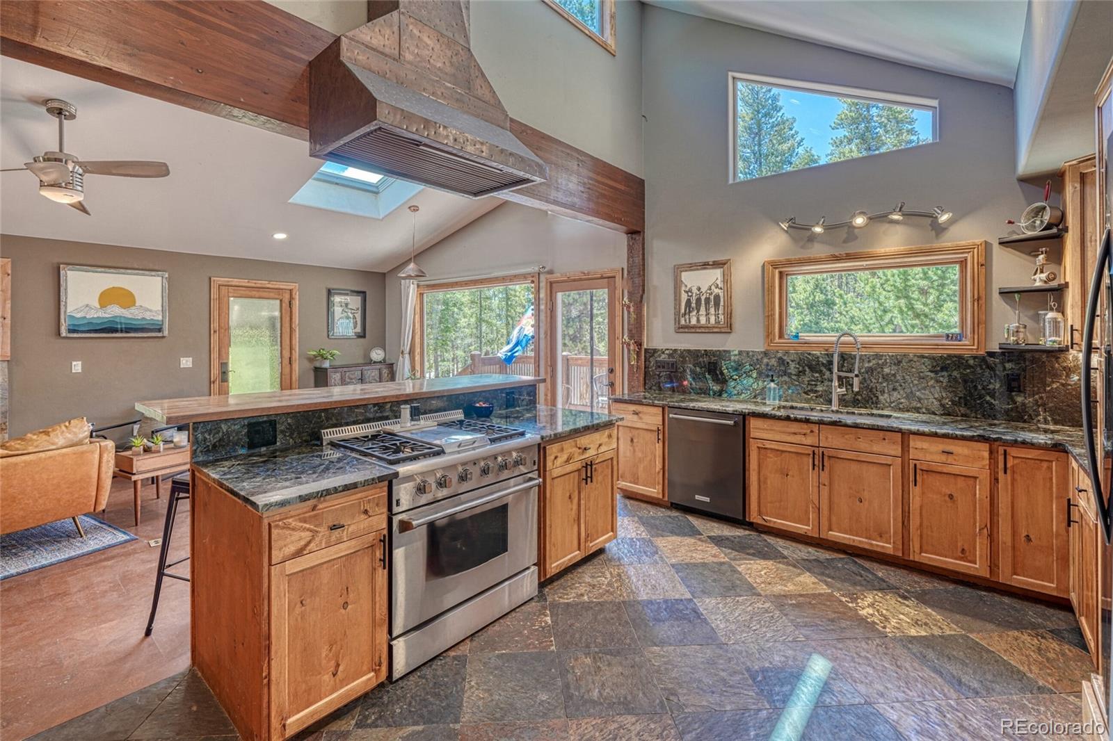 MLS Image #14 for 987  ruby lane,leadville, Colorado