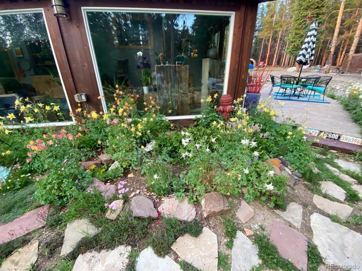 MLS Image #3 for 987  ruby lane,leadville, Colorado
