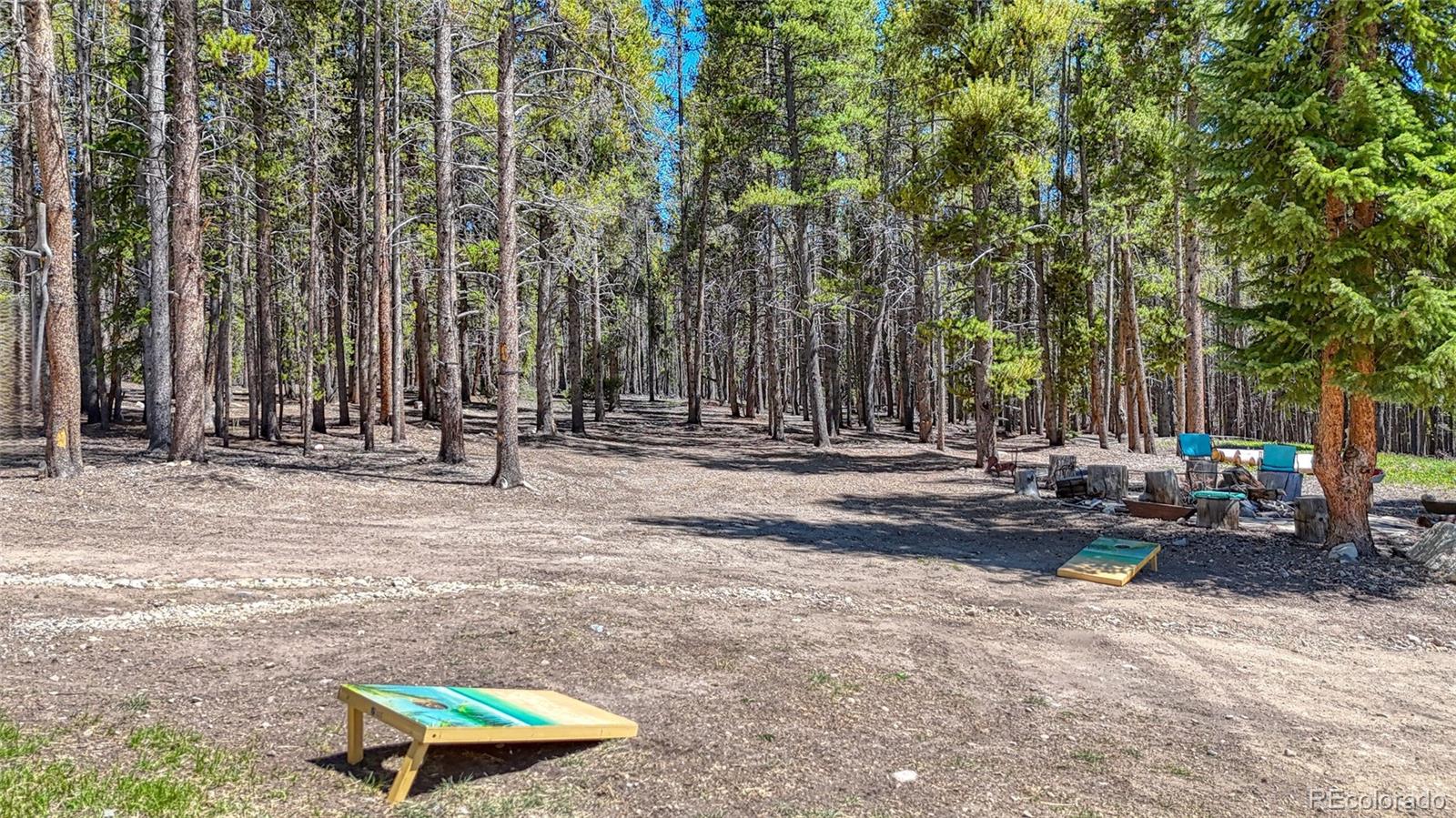 MLS Image #46 for 987  ruby lane,leadville, Colorado