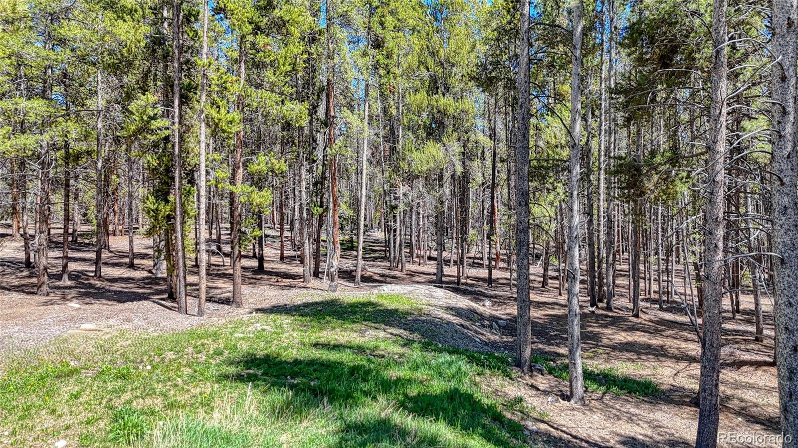 MLS Image #47 for 987  ruby lane,leadville, Colorado