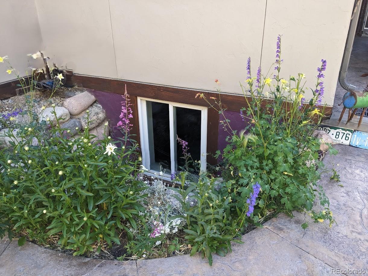 MLS Image #5 for 987  ruby lane,leadville, Colorado