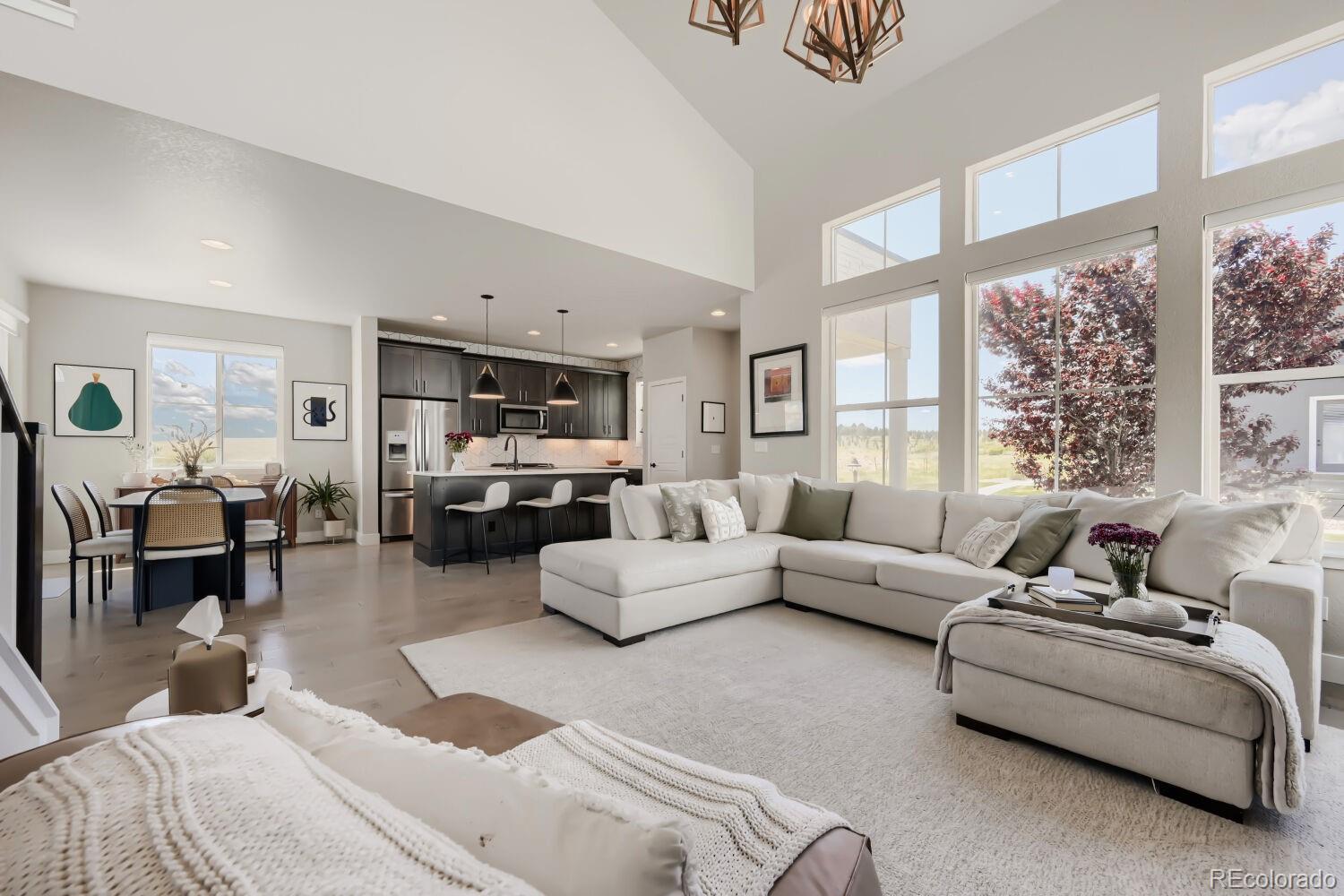MLS Image #9 for 1747  stable view drive,castle pines, Colorado