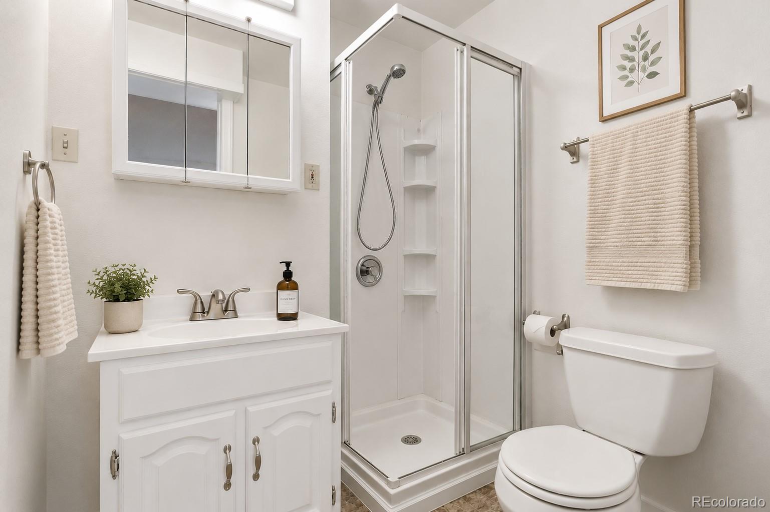 MLS Image #13 for 19429 e brown drive,aurora, Colorado