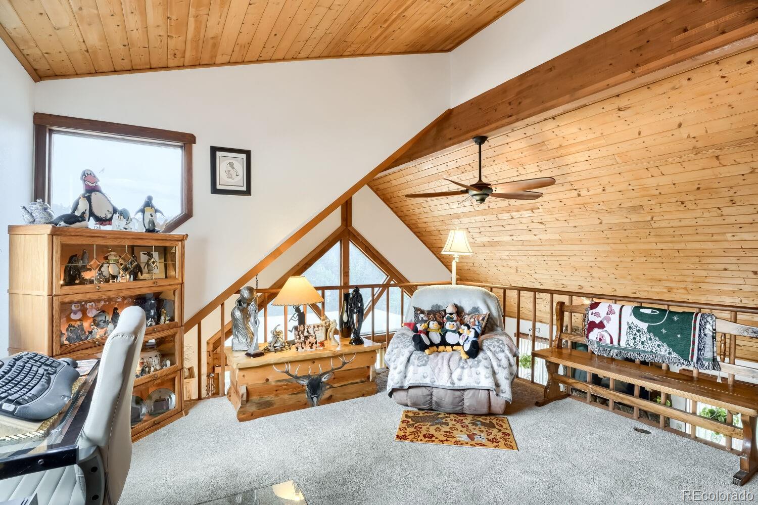 MLS Image #10 for 497  woodside drive,pine, Colorado