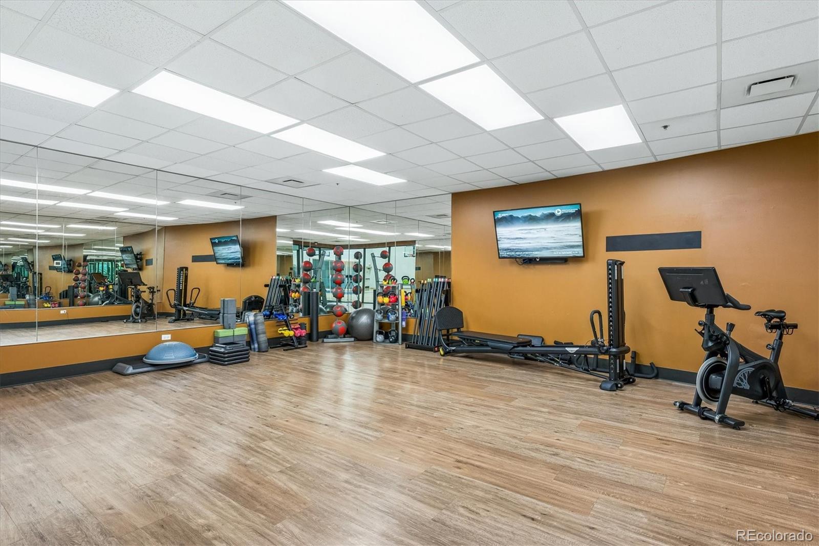 MLS Image #41 for 8546  gold peak lane c,highlands ranch, Colorado
