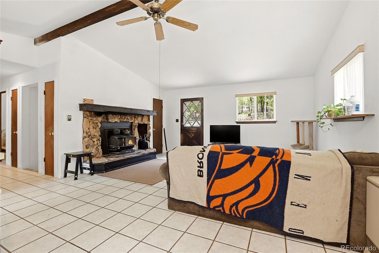 MLS Image #10 for 175  mount bailey drive,bailey, Colorado