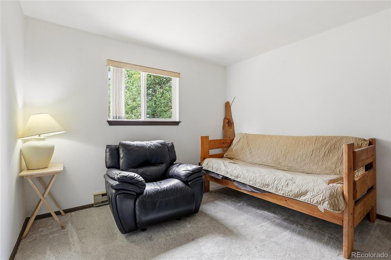 MLS Image #22 for 175  mount bailey drive,bailey, Colorado