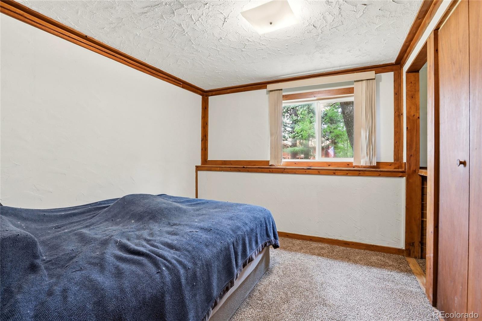 MLS Image #25 for 175  mount bailey drive,bailey, Colorado