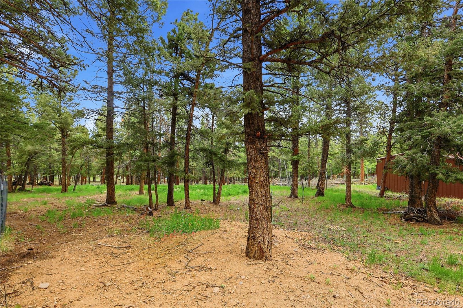 MLS Image #36 for 175  mount bailey drive,bailey, Colorado