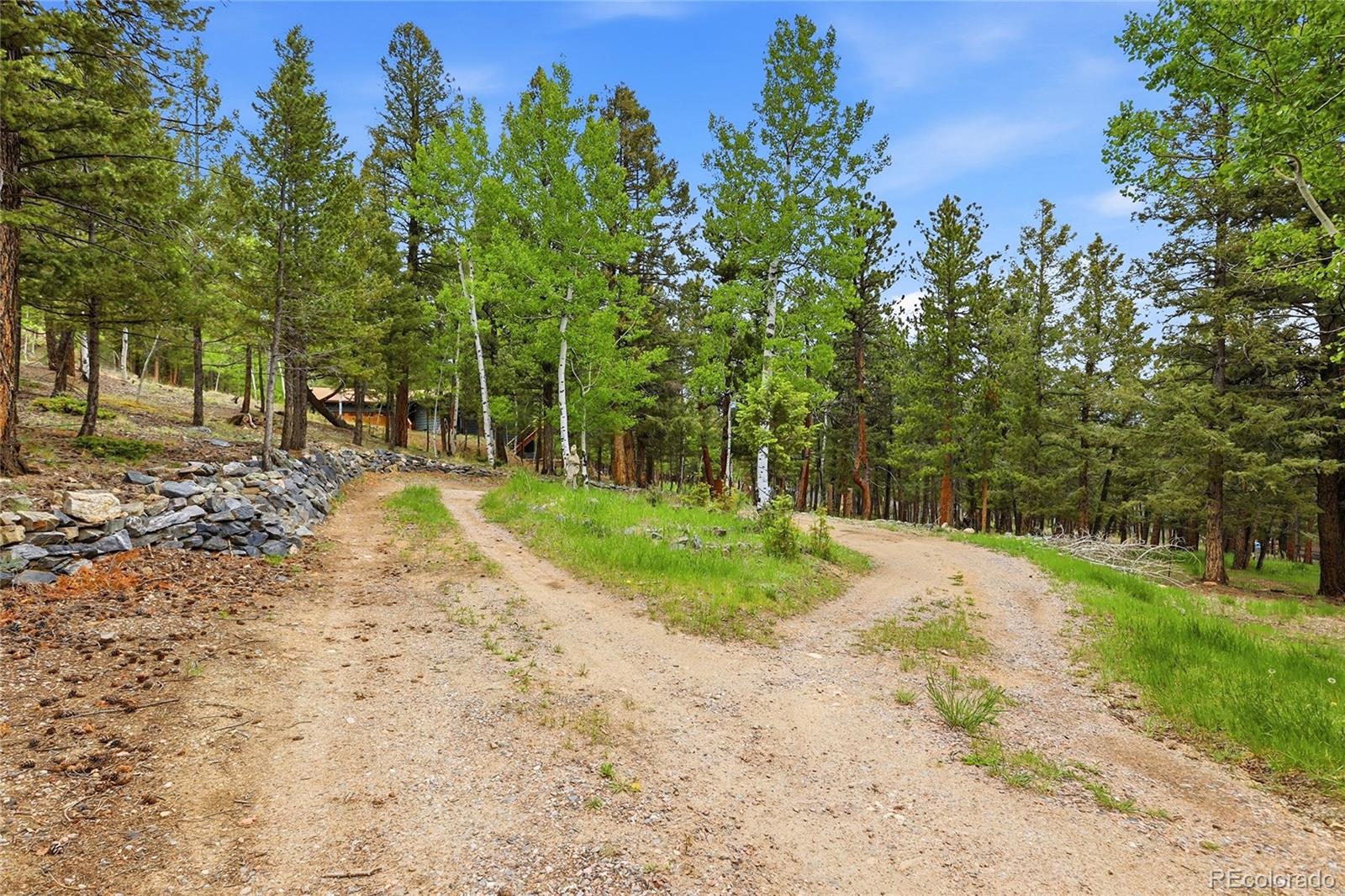 MLS Image #37 for 175  mount bailey drive,bailey, Colorado